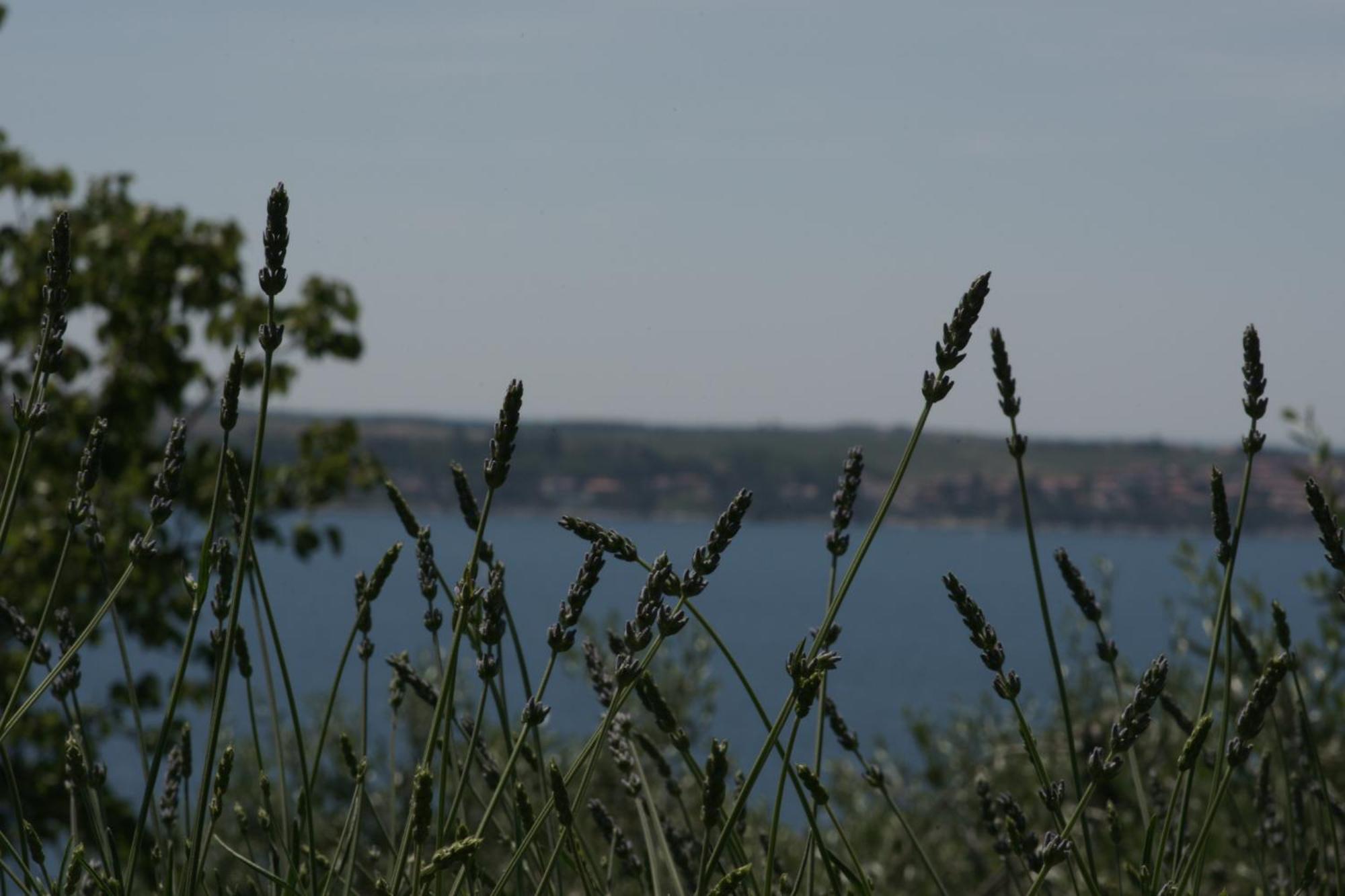 Apartments Hafner Portoroz Exterior foto